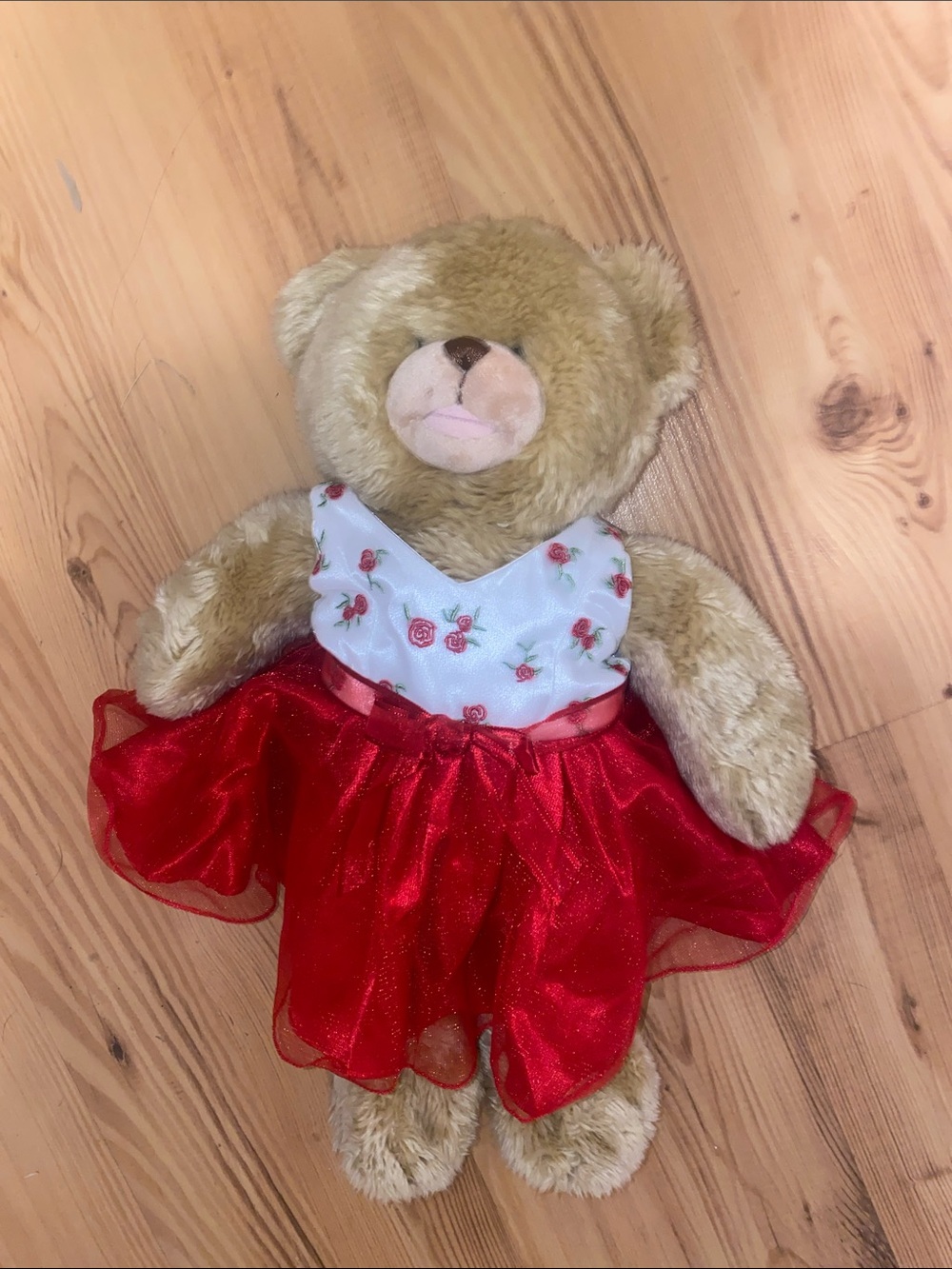 Build-A-Bear Tan Teddy in White Rose Dress & Red Organza Skirt